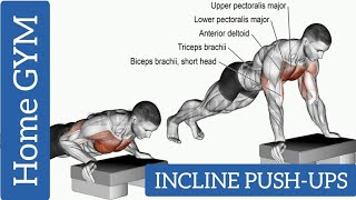 How To Incline Push Ups  Incline PushUps Benefits  PushUps  Home GYM OmPrakashSoniVlogs [upl. by Gainer]