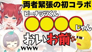 【ぽんぽこ24】赤見かるびの一言にブチギレるピーナッツくん【赤見かるびぽこピー切り抜きぽんぽこピーナッツくん】 [upl. by Amie710]