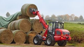 Weidemann – Teleskopradlader 4080LPT Einsatz in der Landwirtschaft [upl. by Yesdnil]