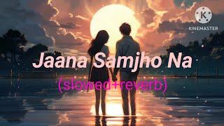 Bhool Bhulaiyaa 3 Jana Samjho Na  love song lofi musicclowedreverb gyg lofi music [upl. by Nautna273]