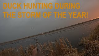 THE FIRST STORM OF THE SEASON duckhunting duck duckseason hunting california waterfowlhunting [upl. by Ahsemad]