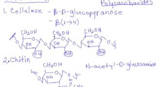 88 Carbohydrates Polysaccharides  Cellulose Chitin Amylose Amylopectin amp Glycogen [upl. by Anilok]