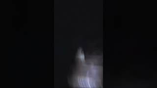 Night When You see Ghost [upl. by Marcello666]