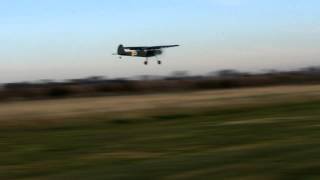 Durafly Fieseler Fi 156 Storch [upl. by Moselle]