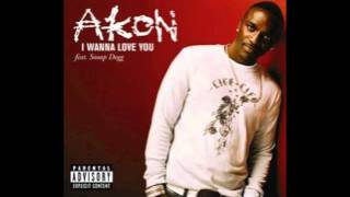 I Wanna Love You  Akon feat Snoop Dogg With Lyrics [upl. by Fokos310]