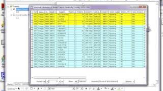 Making Multiple Selections from ArcMap layer attribute table tutorial [upl. by Valentino]