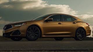 LEAKED 2025 Acura TLX Revealed  Best Sedan with Full of New Features [upl. by Assiled]