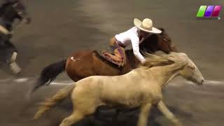 DLM179 200318 55º Aniversario Charros del Pedregal Torneo de Familias Bloque 2 [upl. by Cahn848]