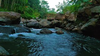 Babbling brook Sounds for sleeping Water stream sounds Relaxing river scenes Very relaxing sounds [upl. by Melli]