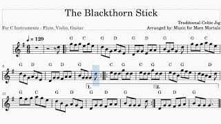 The Blackthorn Stick – Traditional Celtic Jig – Play Along for Violin Flute or Guitar [upl. by Relyhs]