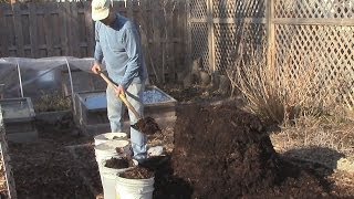 Turning The FallWinter Compost amp the Worms are Alright [upl. by Annaerda818]