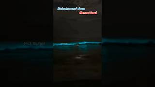 Blue Waves chennai beach marinabeach bluewaves bioluminescence ecrbeach chennaibeach waves [upl. by Aihtak282]