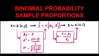 HSC Year 12 Extension 1 3U  Binomial Probability  Sample Proportions [upl. by Ringler]