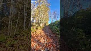 Trail in North Vancouver in the fall [upl. by Curry784]