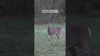 EPIC SHOT ON A WHITETAIL DEERSlow Motion hunting deerhunting deerhunter bowhunting [upl. by Leunammi]