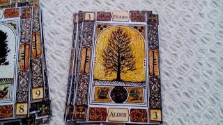 Celtic Tree Oracle Ogham Reading [upl. by Dedie]