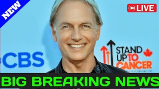 NCIS Origins Mark harmon Big Sad News [upl. by Pleione]