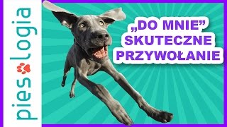 quotDo mniequot Nauka skutecznego przywołania [upl. by Ohl]