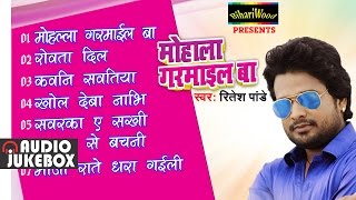 HD मोहाला गरमाइल बा  Ritesh Pandey  Mohalla Garmail Ba  Bhojpuri Songs 2016 New  Bhojpuri [upl. by Leahcimdivad]