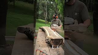 Chainsaw Milling is Mesmerizing Black Walnut on the Logosol F2 [upl. by Ziom]