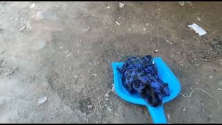 Toilet cleaner Harpic se gadi chamka Diya [upl. by Alilad839]