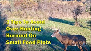 BEST DEER FOOD PLOT TIPS JASON DROTZER WISCONSIN WHITETAIL [upl. by Claudina]