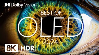 BEST OLED 2024  DOLBY VISION® 8K HDR [upl. by Blatman217]