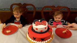 The Patrick Twins  Cake Second Birthday  Teeth Brushers Reversed [upl. by Trillbee925]