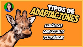 Tipos de Adaptación biológica  Estructural fisiológica y etológica  Evolución [upl. by Matilda]