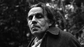 Entretiens avec le professeur Y  Quatrième et dernière partie  Louis Ferdinand Céline [upl. by Ekim292]