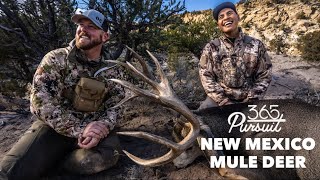 New Mexico Mule Deer Hunt [upl. by Eli]