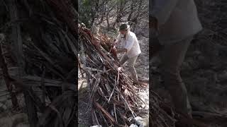 Juniper Bark Siding on Primitive Wickiup Shelter survival primitiveskills bushcraft shelter [upl. by Retse315]