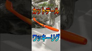 バス釣り初心者の方におすすめのワーム『カットテール』のワッキーリグを紹介！！バス釣り 釣り初心者 ゲーリーヤマモト [upl. by Bentley929]