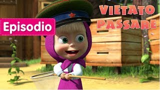 Masha e Orso  🐰 Vietato Passare🐞 Episodio 12 [upl. by Valley897]