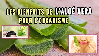 Les bienfaits de lAloe Vera pour lorganisme [upl. by Entroc926]