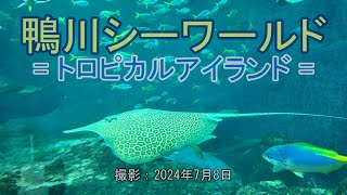 鴨川シーワールド  トロピカルアイランド  4K Kamogawa Sea World  Tropical Island [upl. by Amri]