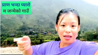 AJAKO SPECIAL VIDEO M JANMEKO HURKEKO GAU GHAR SOTA [upl. by Alyehc184]