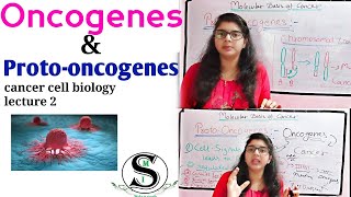 Oncogenes and Proto Oncogenes \ Oncogenes biochemistry \ Molecular basis of Cancer [upl. by Ayekram455]