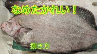 魚の捌き方ナメタガレイ捌き方 [upl. by Culhert]