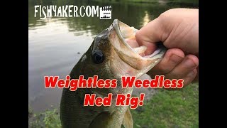 Bass Fishing with a Weightless Weedless Ned Rig Lure  Fishing Tackle Tips [upl. by Eerpud]