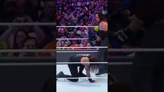 Undertaker vs Roman Reigns WrestleMania 33 [upl. by Mazman110]