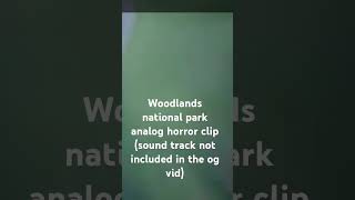 woodlands national park analog horror clip analoghorror woodlandsnationalpark [upl. by Awram628]