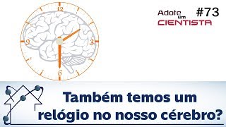 Também temos um relógio no nosso cérebro [upl. by Ahtaela676]