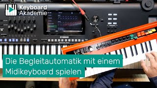 Die Begleitautomatik mit einem MidiKeyboard spielen  PowerTipp [upl. by Annah]