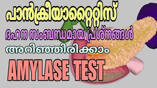 Amylase test malayalam  Pancreatic diseases  Digestive problems [upl. by Darton358]