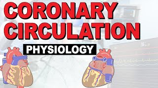 What is the PHYSIOLOGY of the coronary circulation [upl. by Strickland]