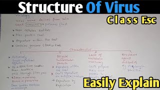 Structure Of Virus  Capsid  Capsomere  Class 11 Biology [upl. by Nelyahs]