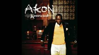 Akon  Smack That feat Eminem Improved Super Clean Version [upl. by Kendricks541]