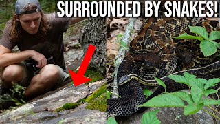 Surrounded by Venomous Snakes in the Georgia Mountains Copperheads Rattlesnakes and Box Turtles [upl. by Alvita667]