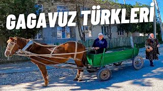 Türkçe Konuşan GAGAVUZ TÜRKLERİ İle Tanıştım  Gagavuzya Moldova 202 🇲🇩 [upl. by Festus]